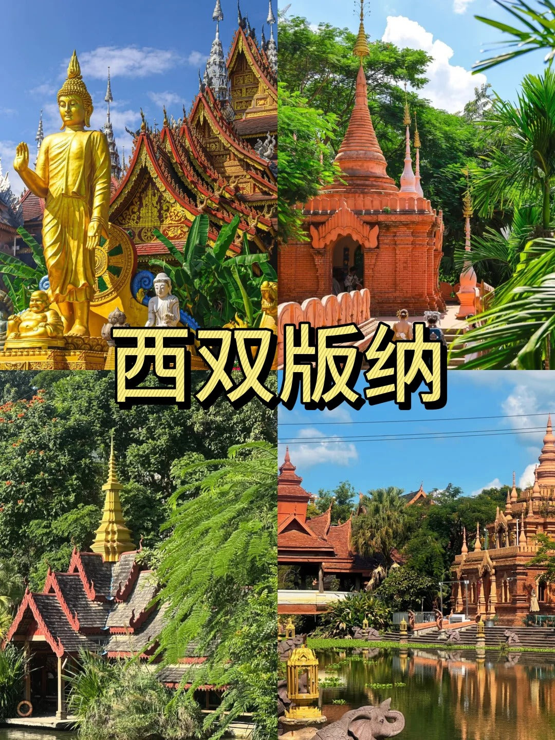 Bespoke Yunnan Private Journey | 定制旅行 云南旅游