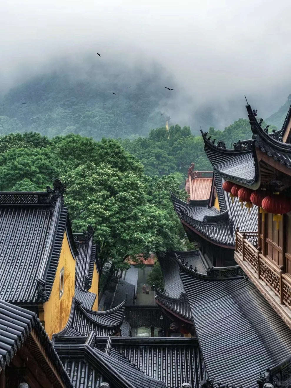 Bespoke Jiangnan, Shanghai & Water Towns Private Journey | 定制旅行 江浙沪旅游