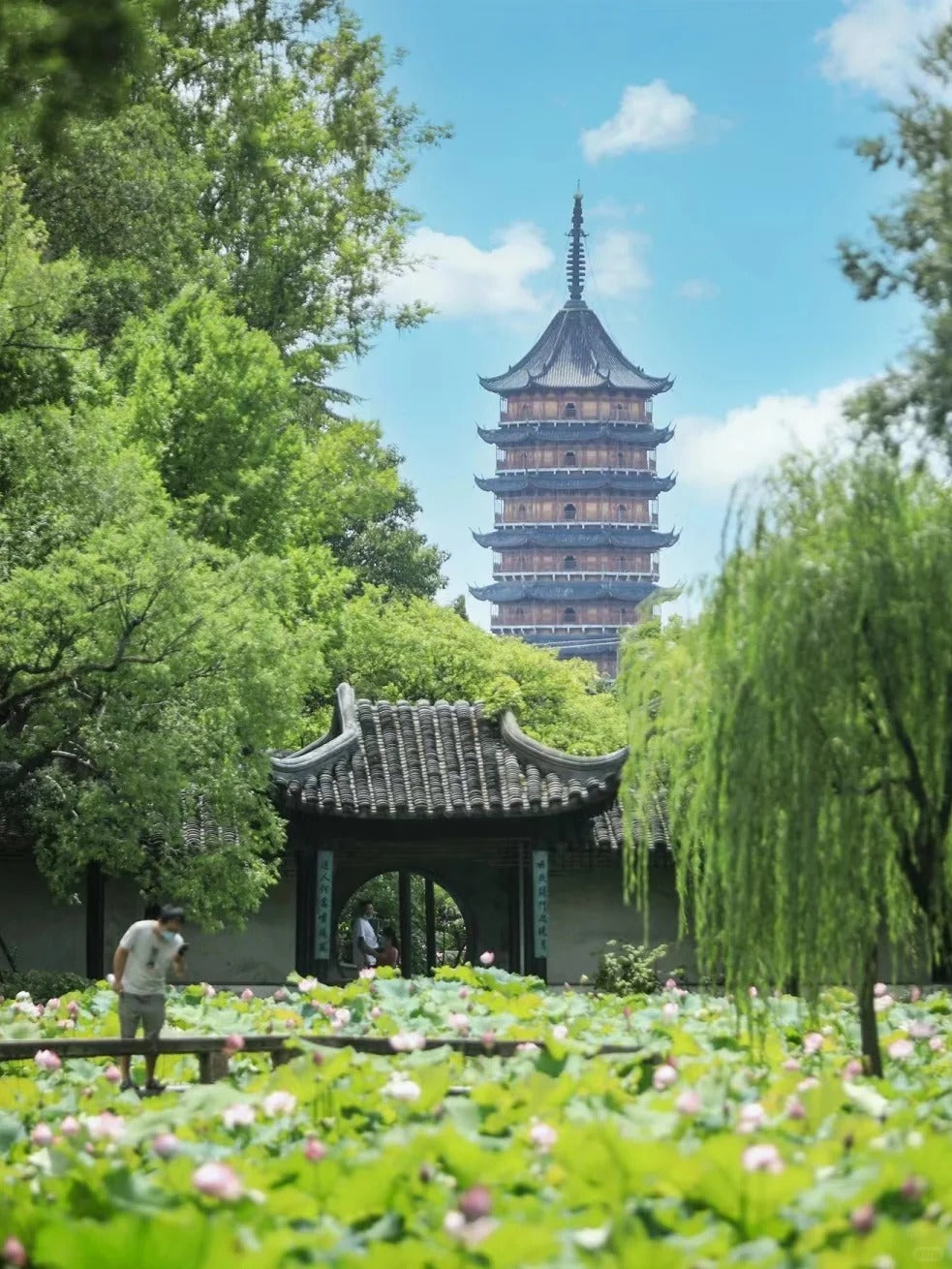 Bespoke Jiangnan, Shanghai & Water Towns Private Journey | 定制旅行 江浙沪旅游