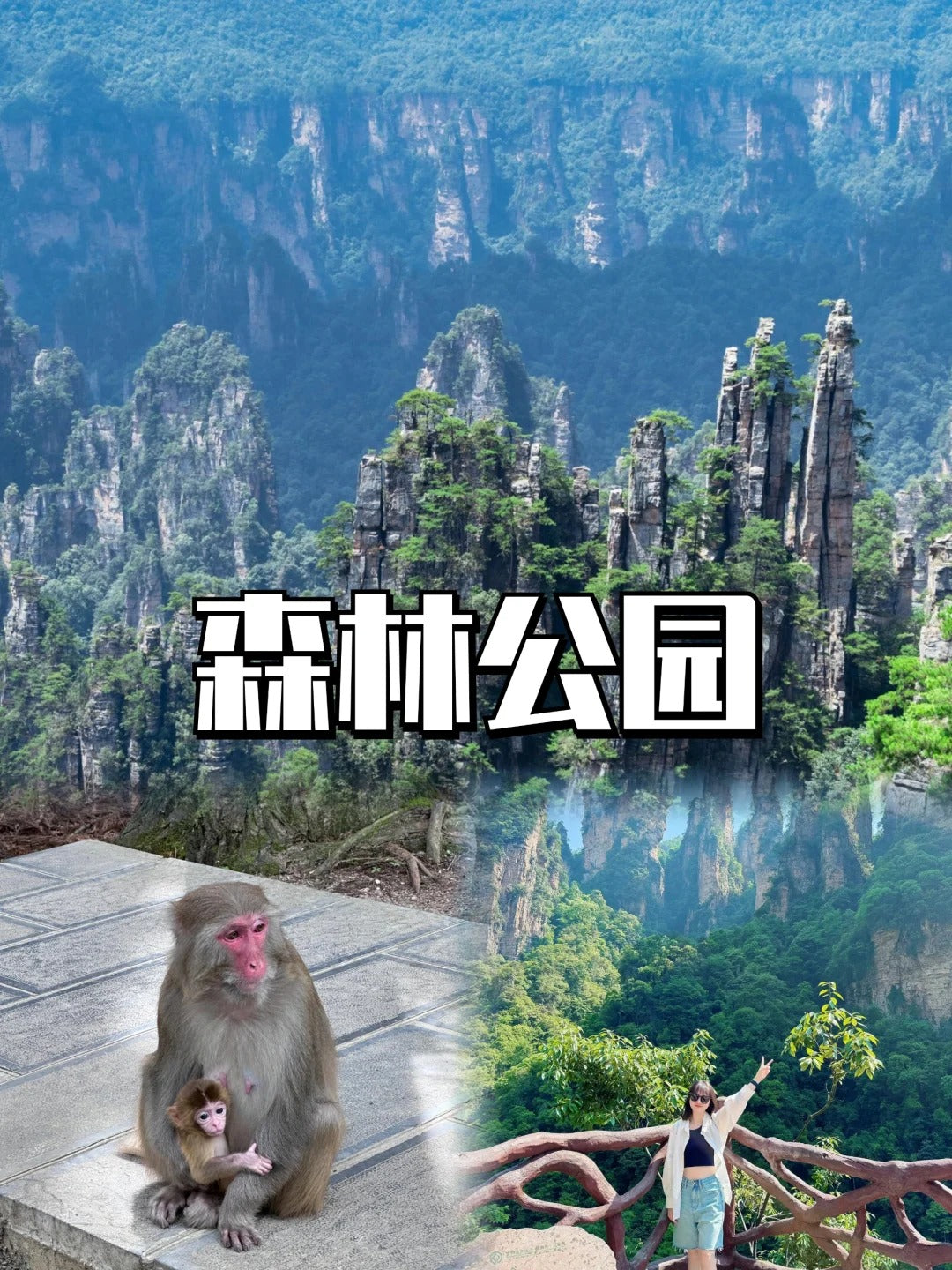 Bespoke Hunan, Zhangjiajie Avatar & Fenghuang Journey | 定制旅行 湖南旅游