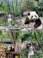Bespoke Sichuan: Chengdu Pandas & Jiuzhaigou Fairyland | 定制旅行 四川旅游