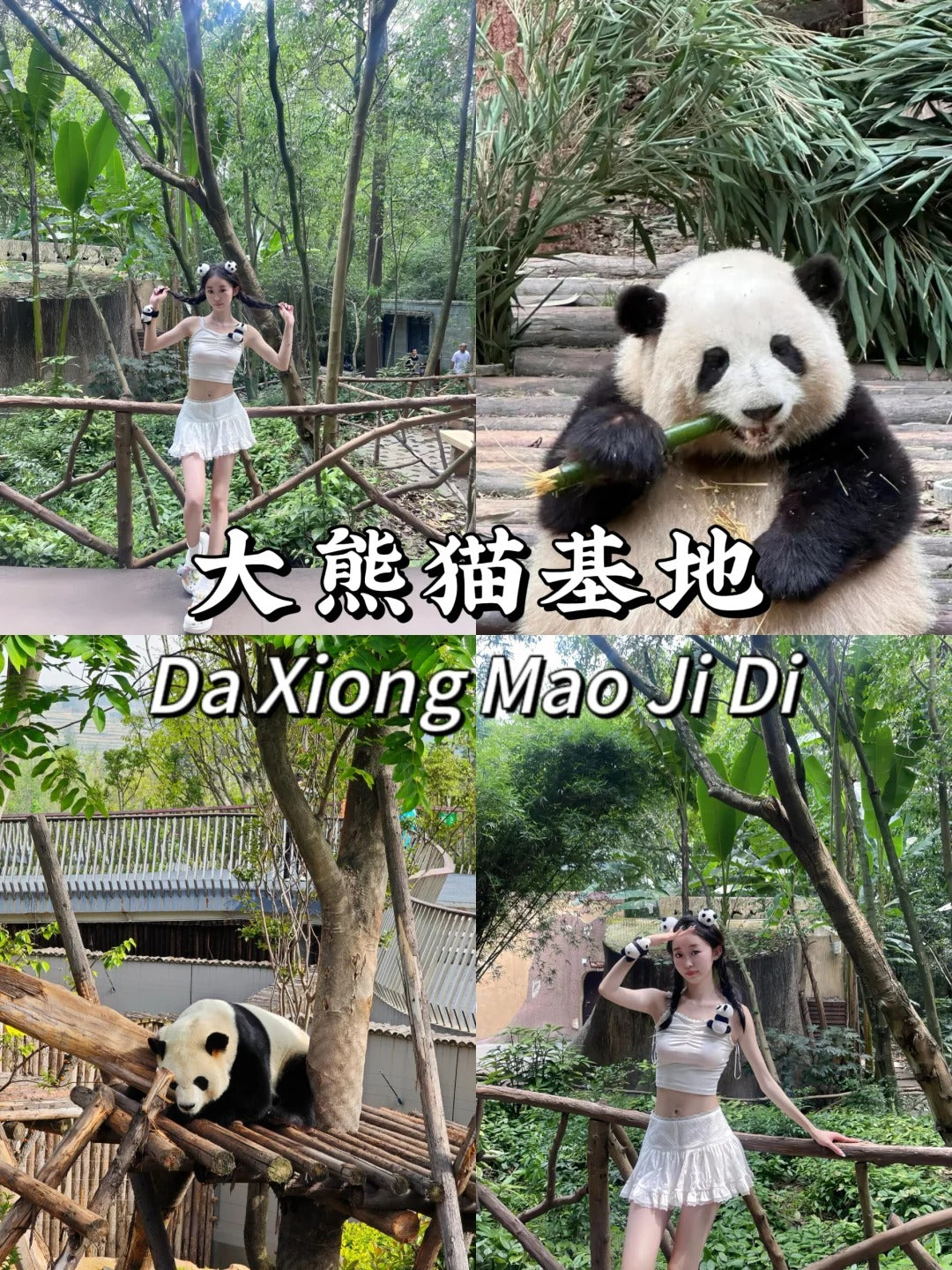 Bespoke Sichuan: Chengdu Pandas & Jiuzhaigou Fairyland | 定制旅行 四川旅游