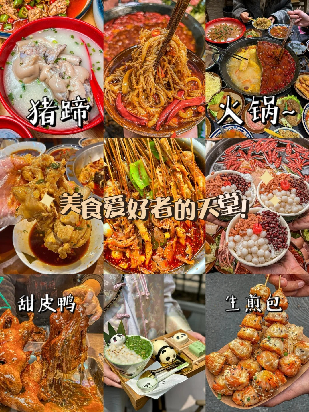 Bespoke Sichuan: Chengdu Pandas & Jiuzhaigou Fairyland | 定制旅行 四川旅游